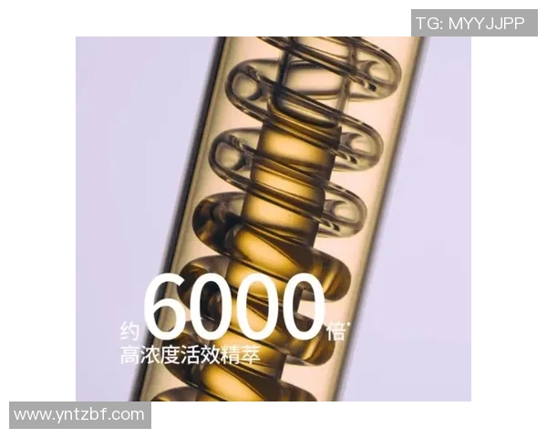 西安极限运动队的蜕变之旅：从传统到创新的全新探索与挑战