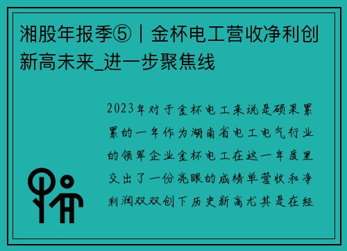 湘股年报季⑤｜金杯电工营收净利创新高未来_进一步聚焦线